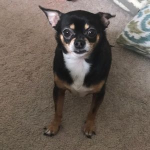 Meet your Posher, Daniel